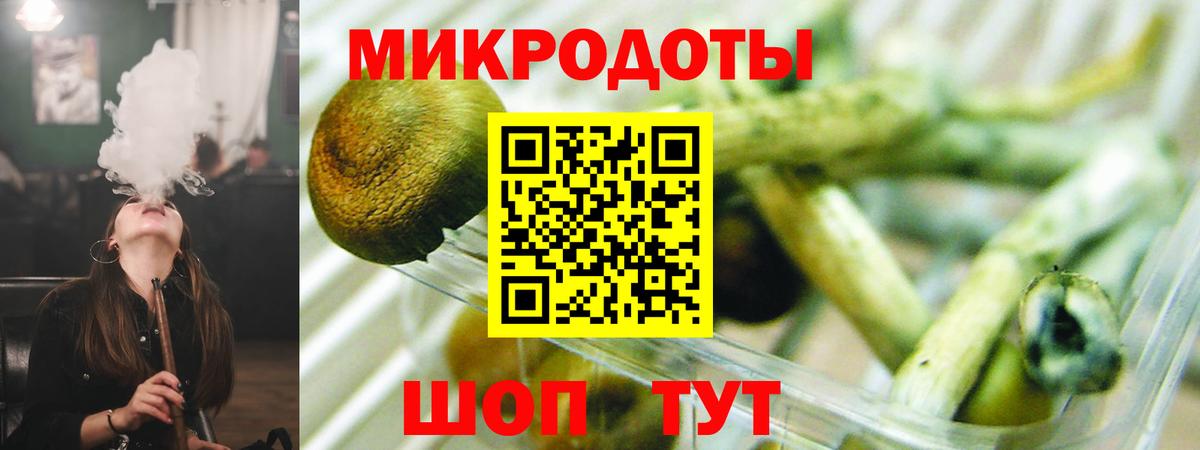 Галлюциногенные грибы прущие грибы  Вход с VPN  Родники 